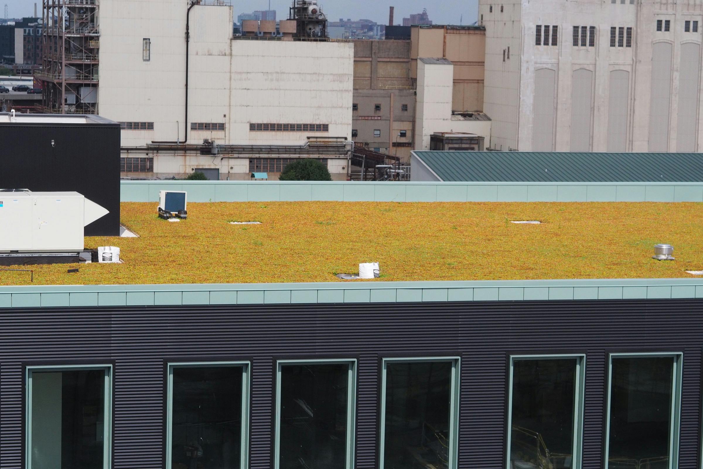 Baltimore Peninsula Rye Street Market-27