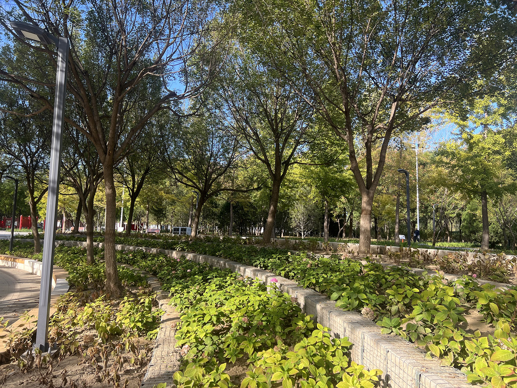 奥北森林公园二期景观及景观建筑系列丨中国北京丨北京北林地景园林规划设计院有限责任公司,北林风景建筑研究中心-39