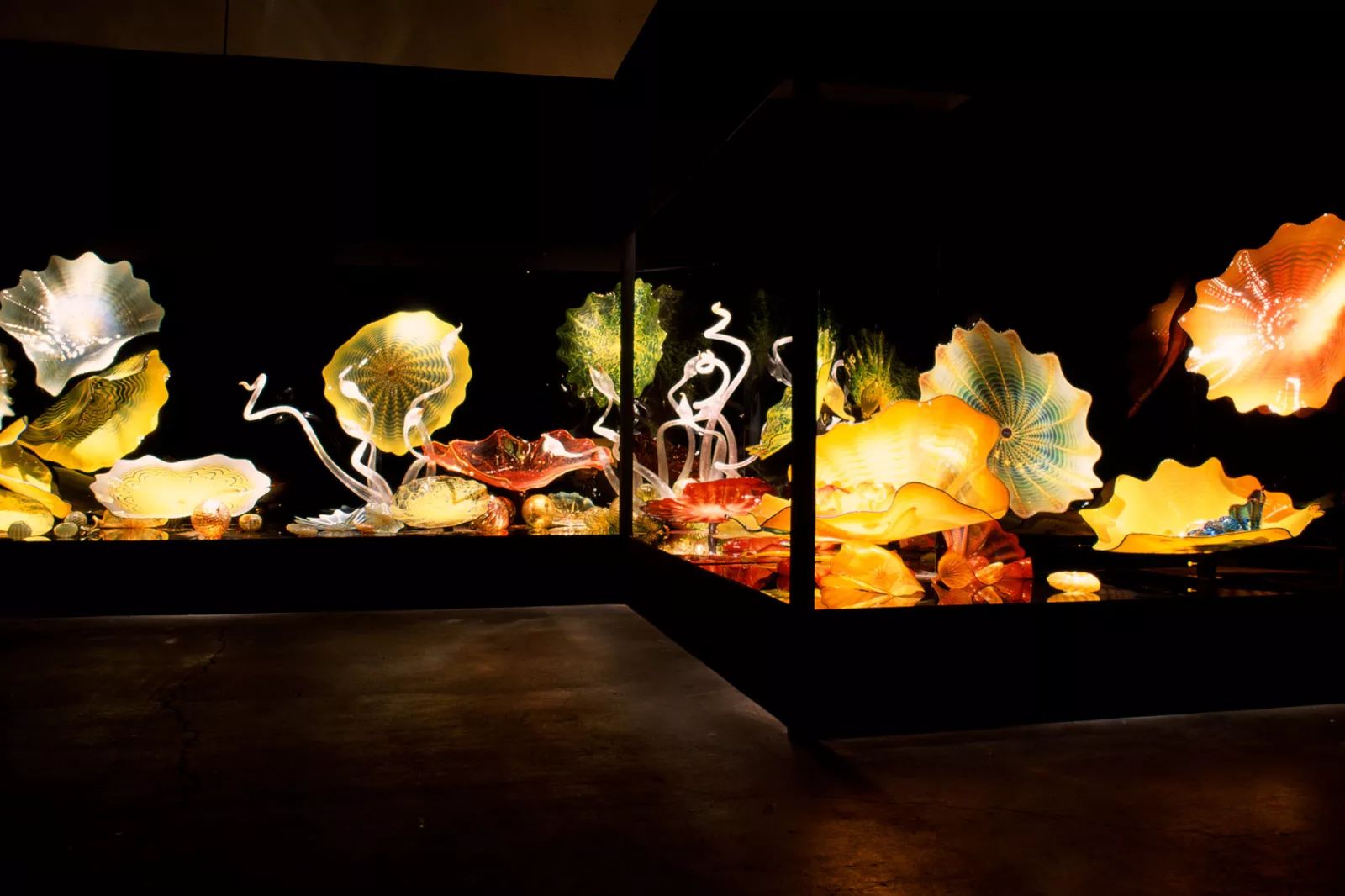 梦幻般的光与色彩 | Dale Chihuly 的玻璃艺术世界-73