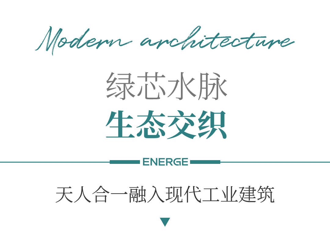 金螳螂▏吉曜通行衢州基地-7