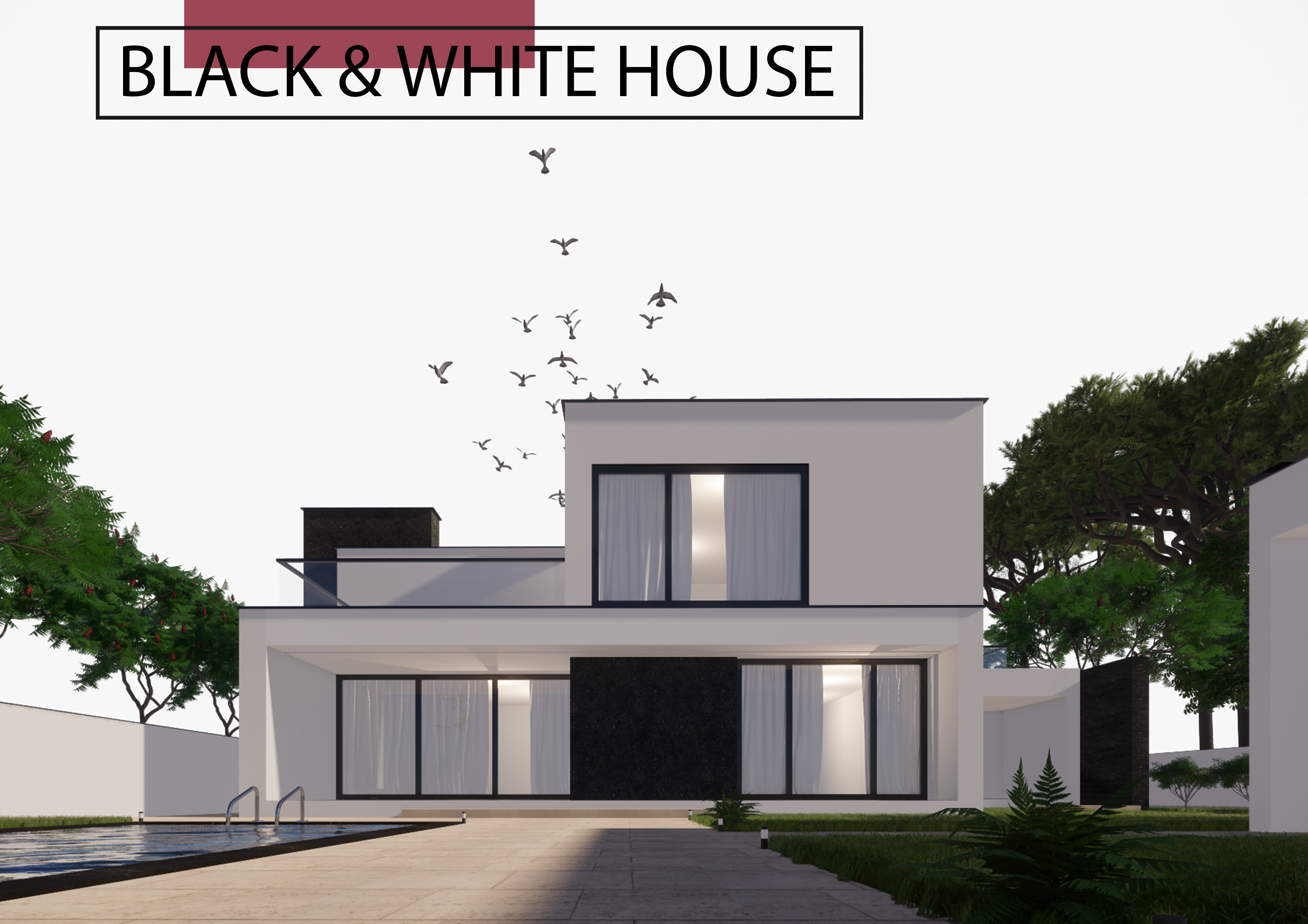 Rhinoceros portfolio-9