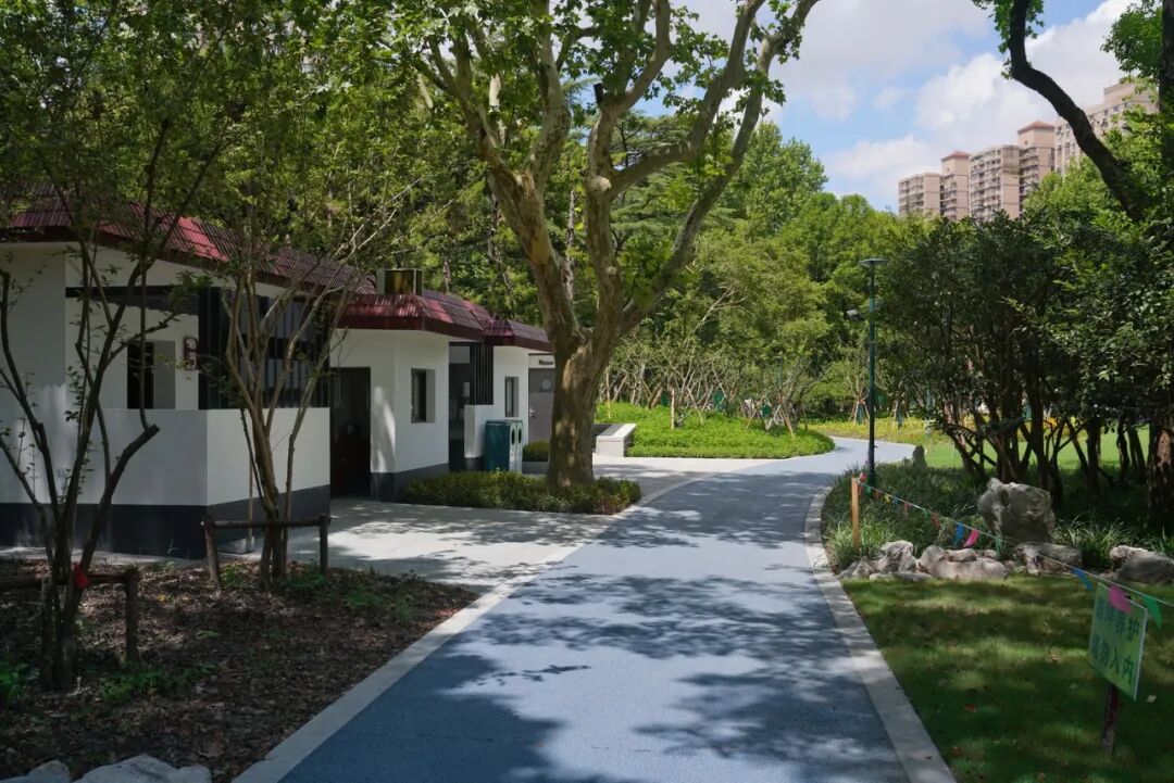 中国园林·理事专栏|“拓”之力量：杨浦公园改造纪实(三)-261