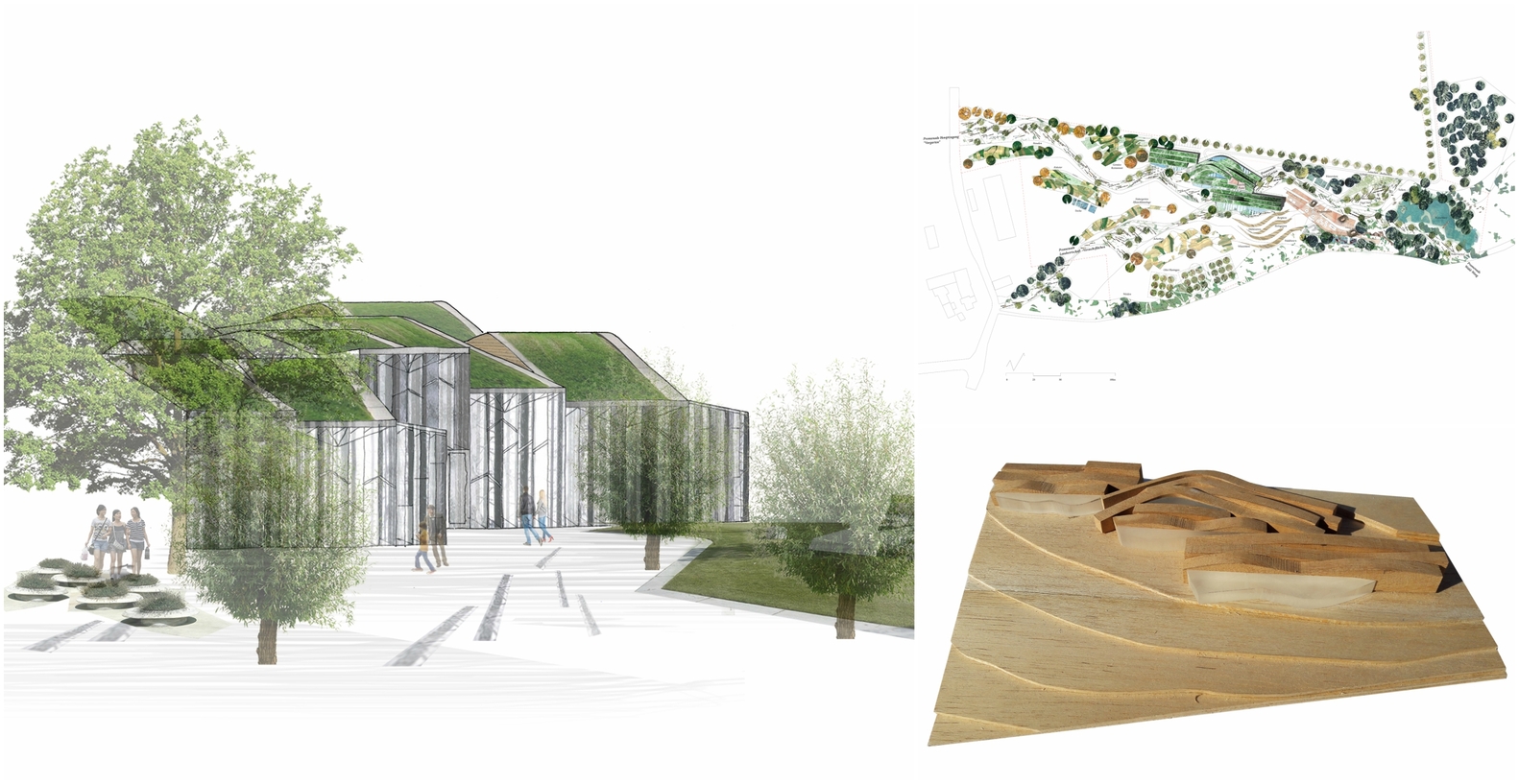 生态优化苏格拉底计划 | EMBT 打造德国生物多样性中心-54