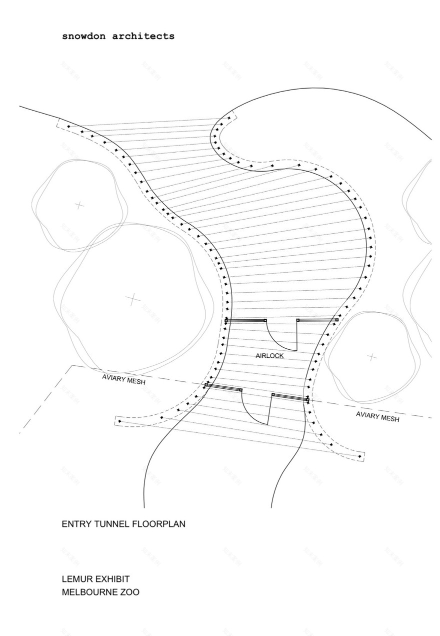 澳大利亚墨尔本动物园 – “果子连廊”的狐猴园-4