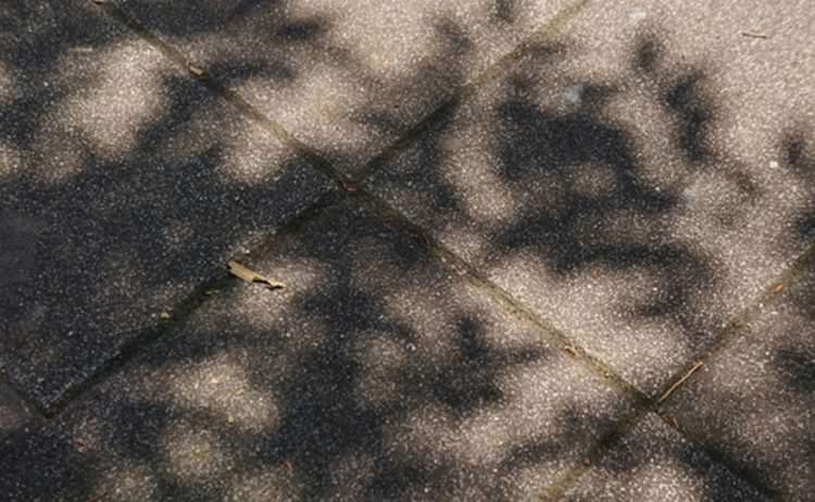 TOKYU PLAZA OMOTESANDO HARAJUKU-8