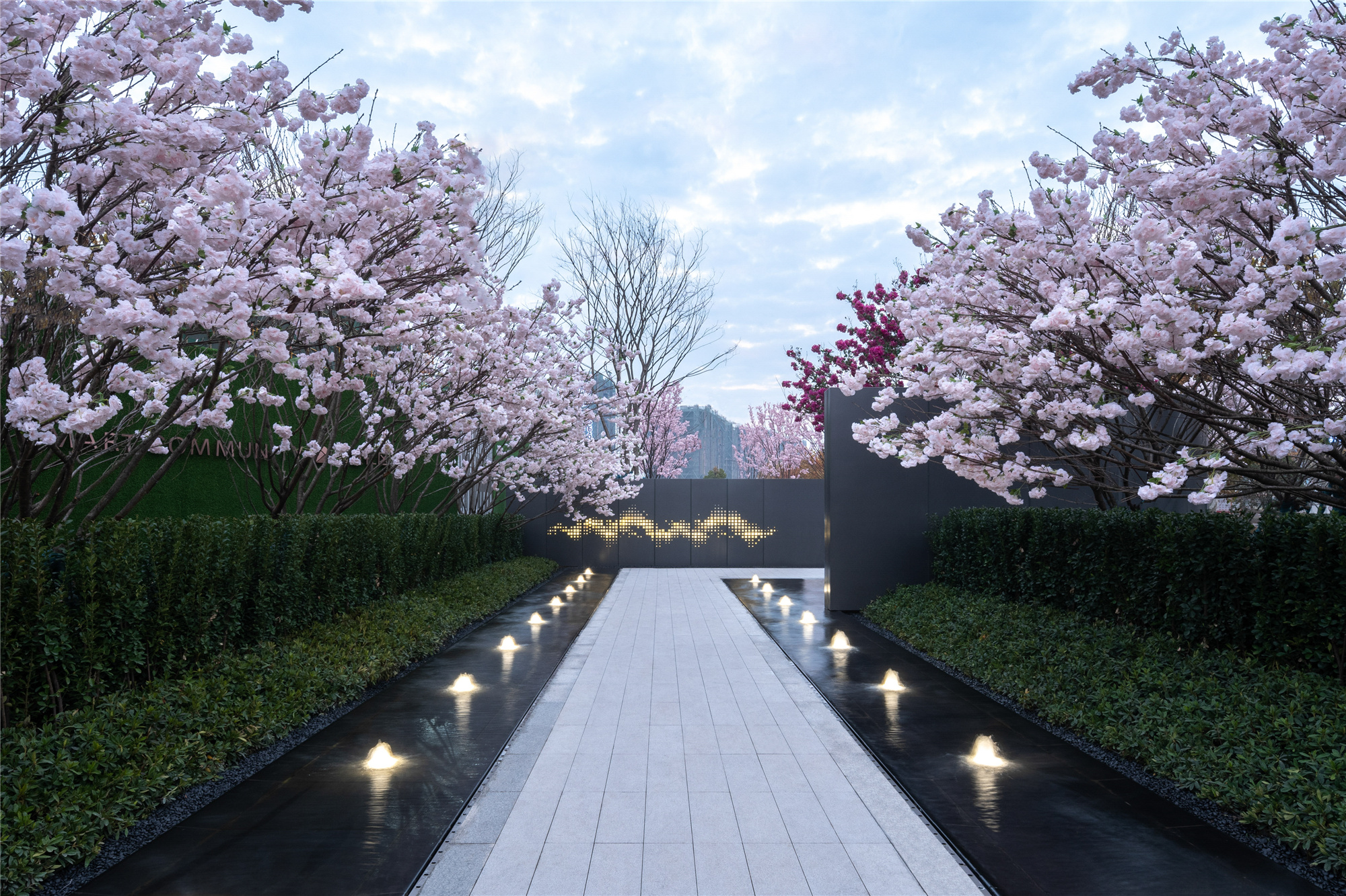 碧桂园 · 多湖国际示范区景观-26