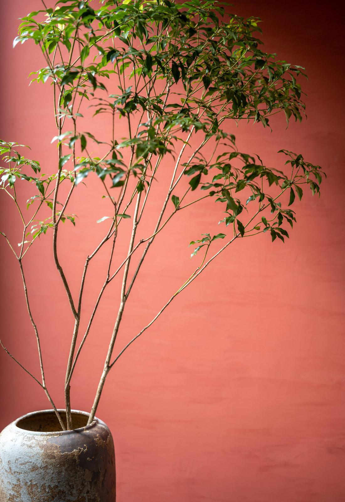 北京二环四合院 | 传统与现代的完美融合-18