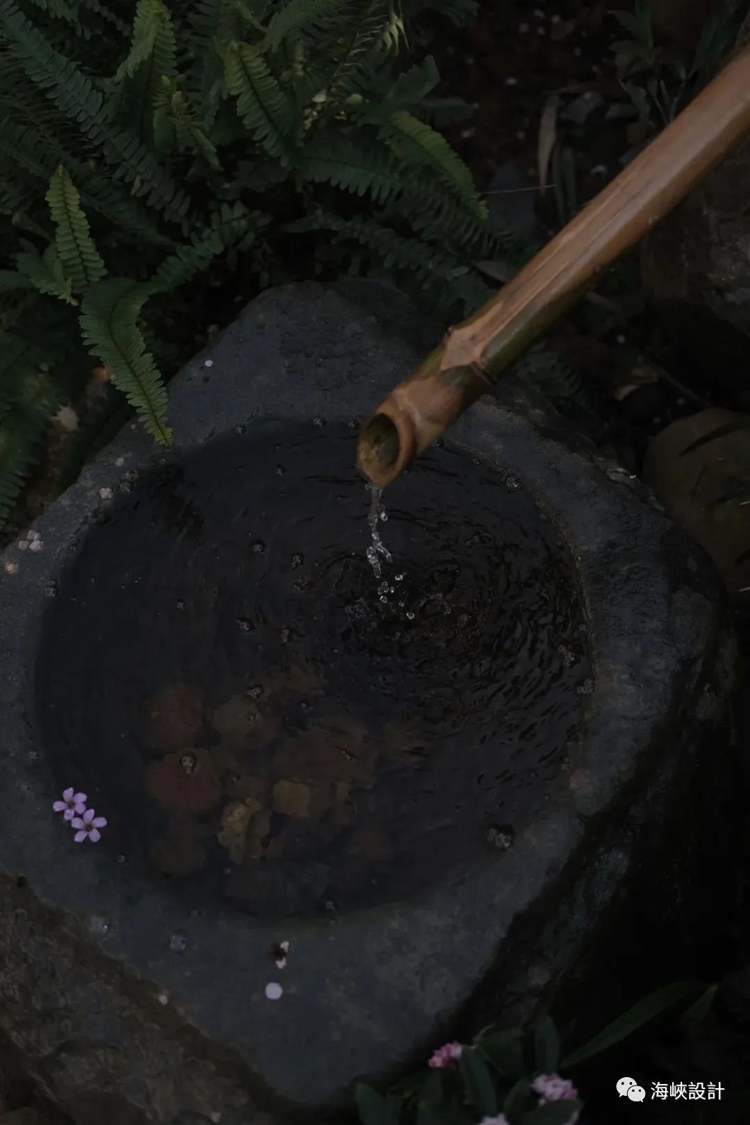 福州水岸君山 · 融入自然的诗意庭院设计丨中国福州丨无垠设计-14