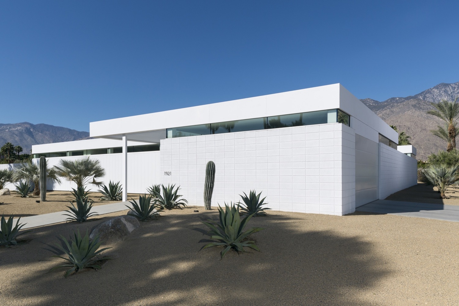 加州沙漠中的现代绿洲-26