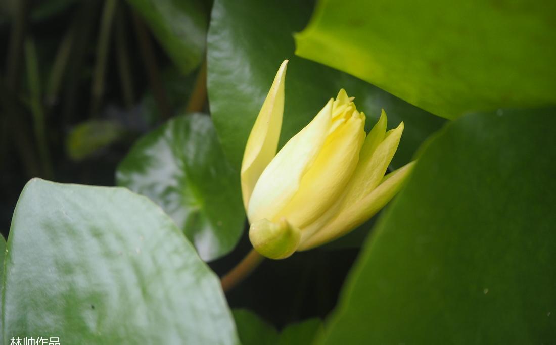 北戴河瑜伽小院——林设计师打造自然禅意空间-40