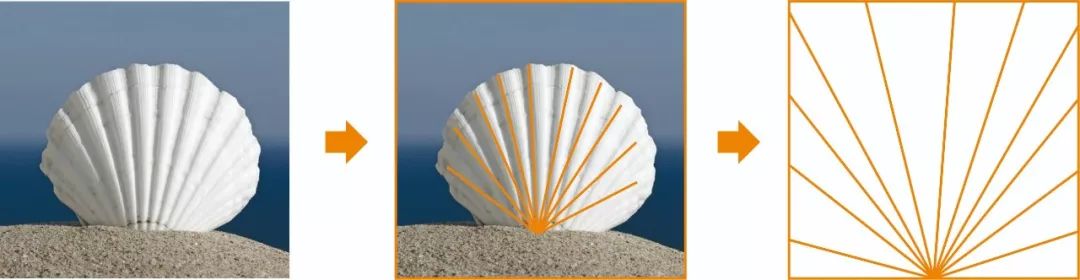 归真生活 | 温州 770㎡现代简约雅墅,沐光海棠-26