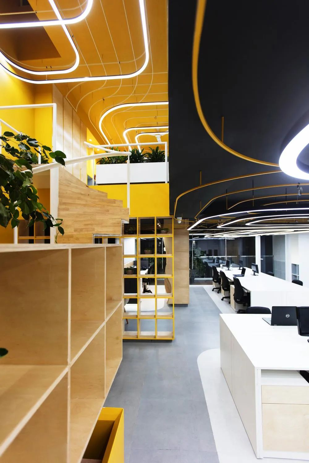 班加罗尔 Prakash N & Co 办公室丨印度班加罗尔丨BARE.PINEAPPLE-39