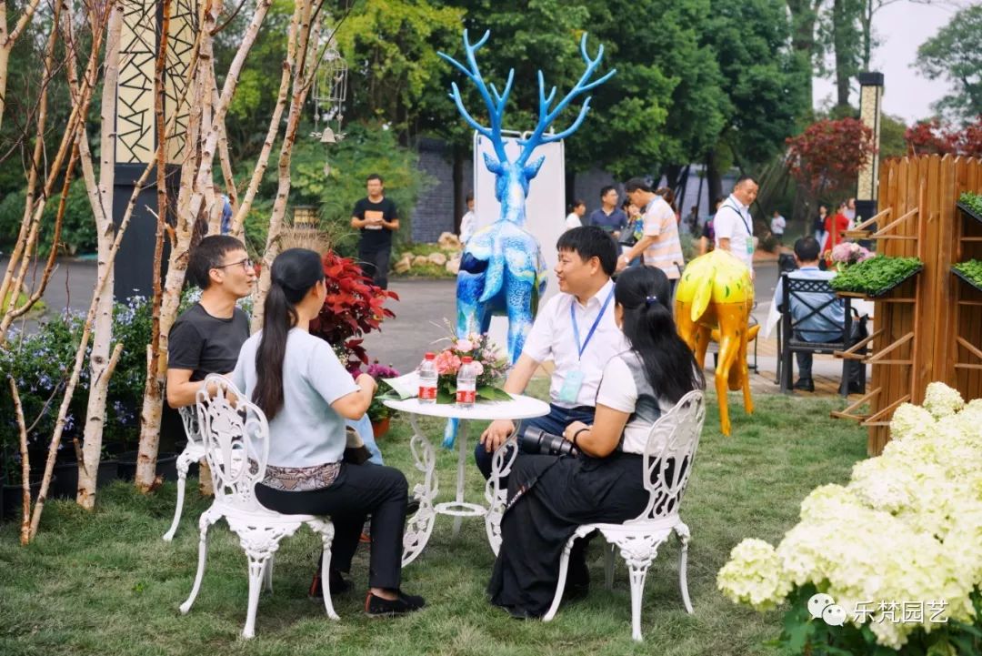 乐梵园艺打造成都花木博览会快闪花园,惊艳全场-48