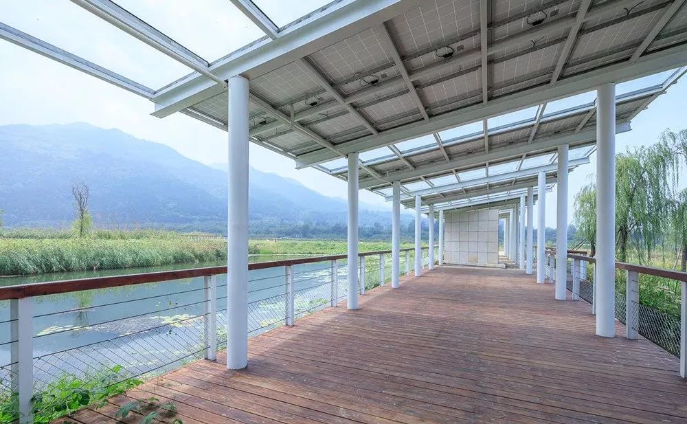 秦岭国家植物园田峪河湿地公园-97