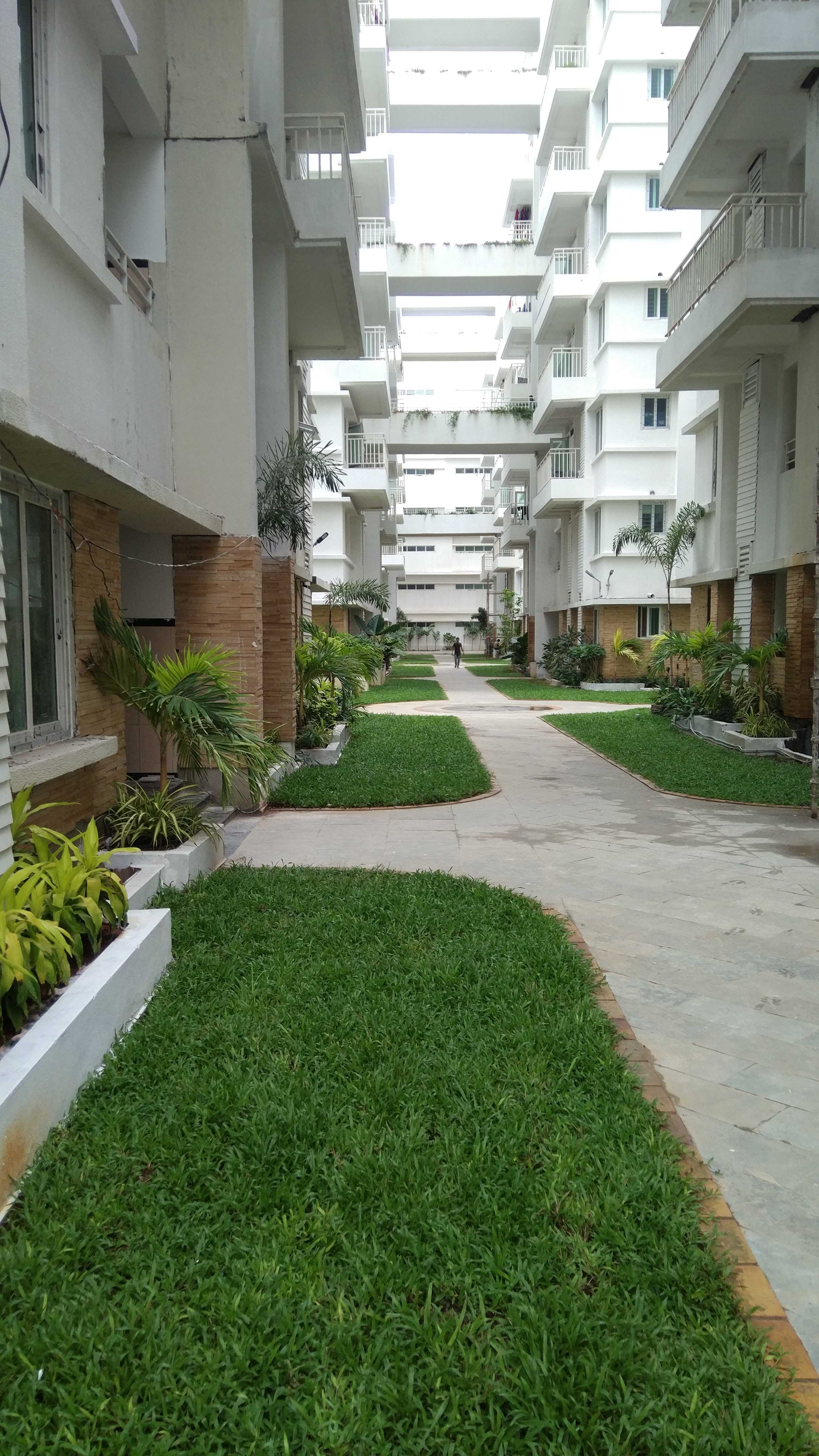 svc treewalk aquaria-0