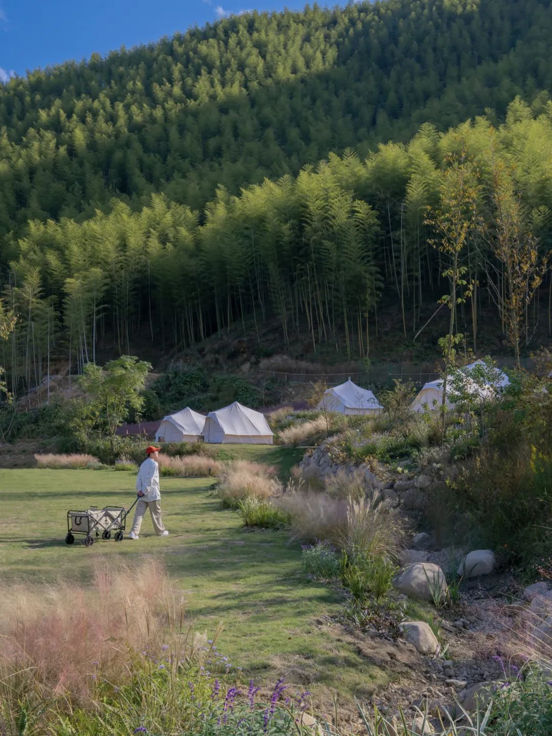 数一轮晨夕 折一朵明媚 | 安吉小杭坑营地-75