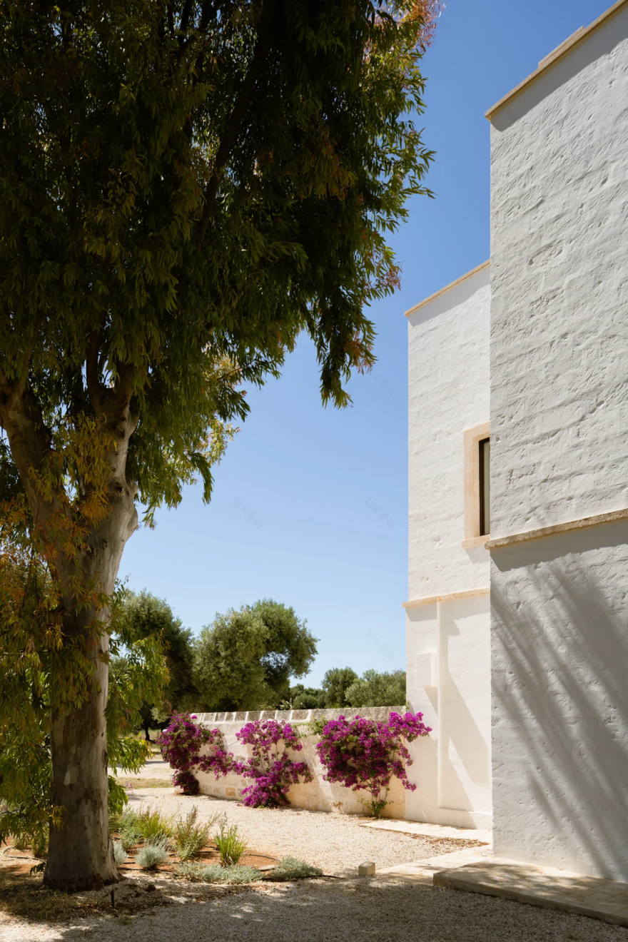 马塞里亚·圣洛伦佐(Masseria San Lorenzo)丨意大利丨Studio Flore Venezia-68