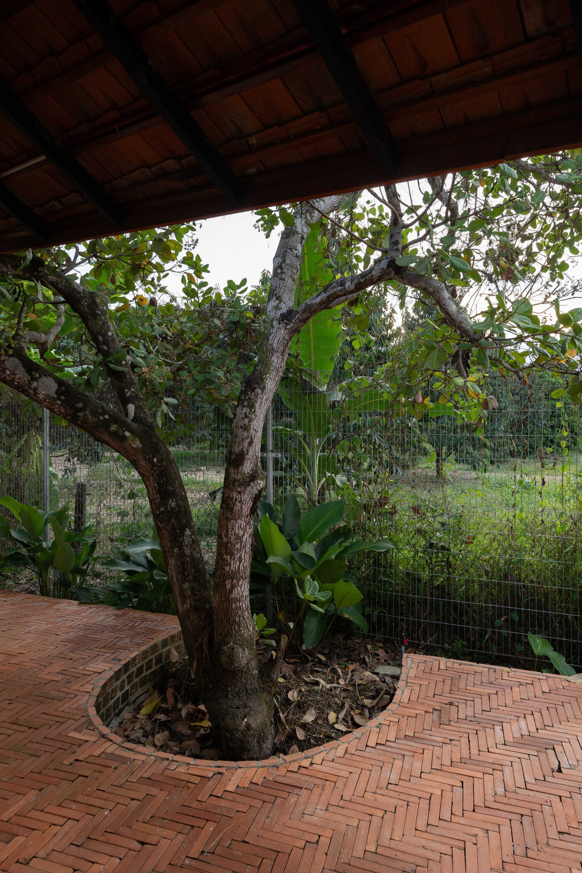 丨越南丨G+ Architects-38