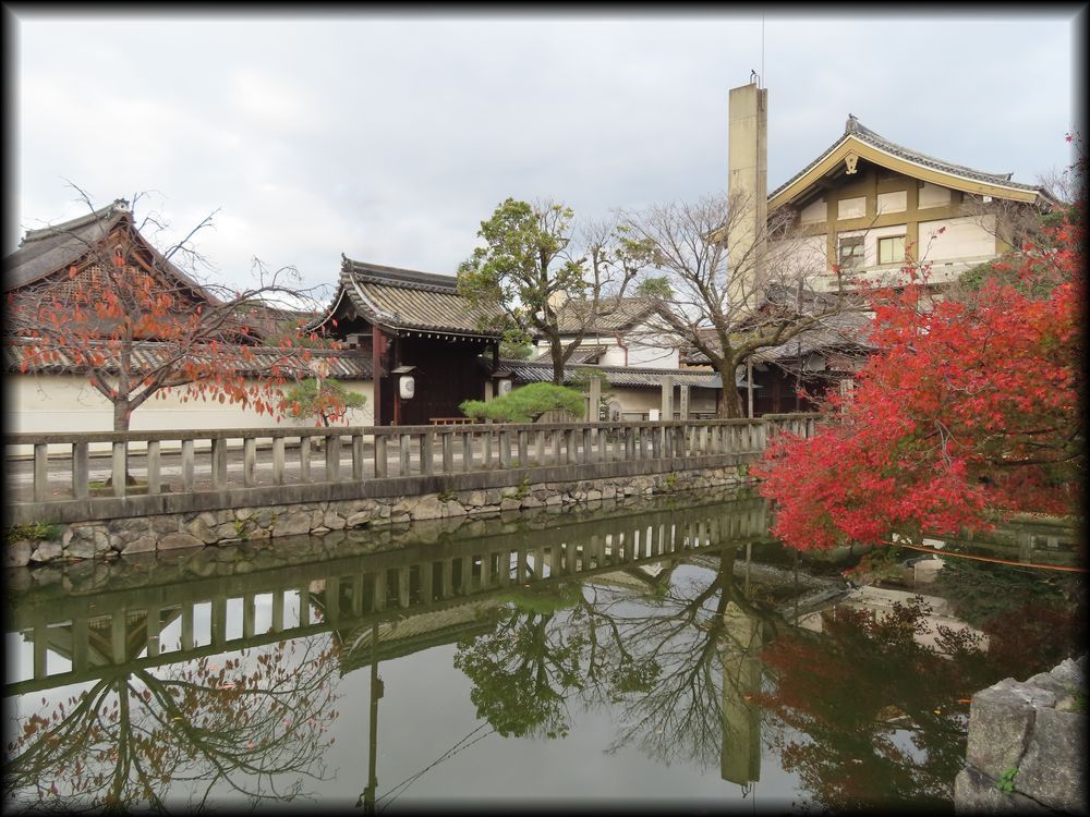 東寺観智院枯山水庭園（涅槃禄,長者の庭）丨日本京都丨山田造園-7