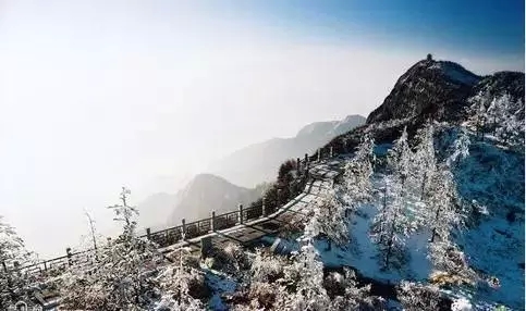 万年雪芽坊-1