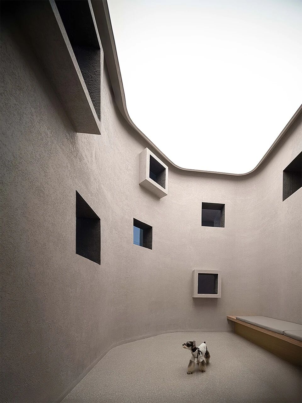 小狗客厅丨中国武汉丨本样设计-59