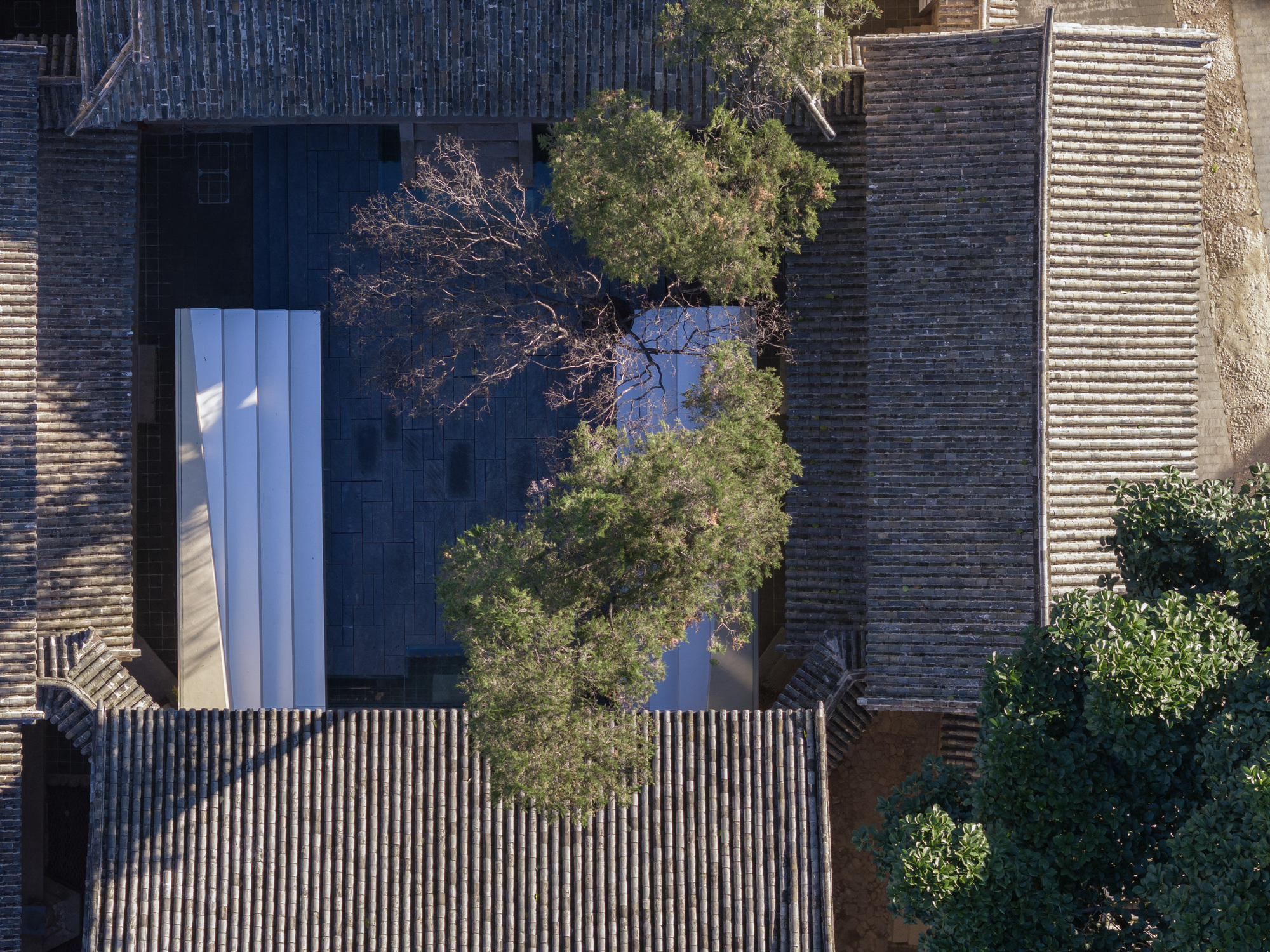 巍山先锋书店重政书院丨中国大理丨TAO（Trace Architecture Office）-43