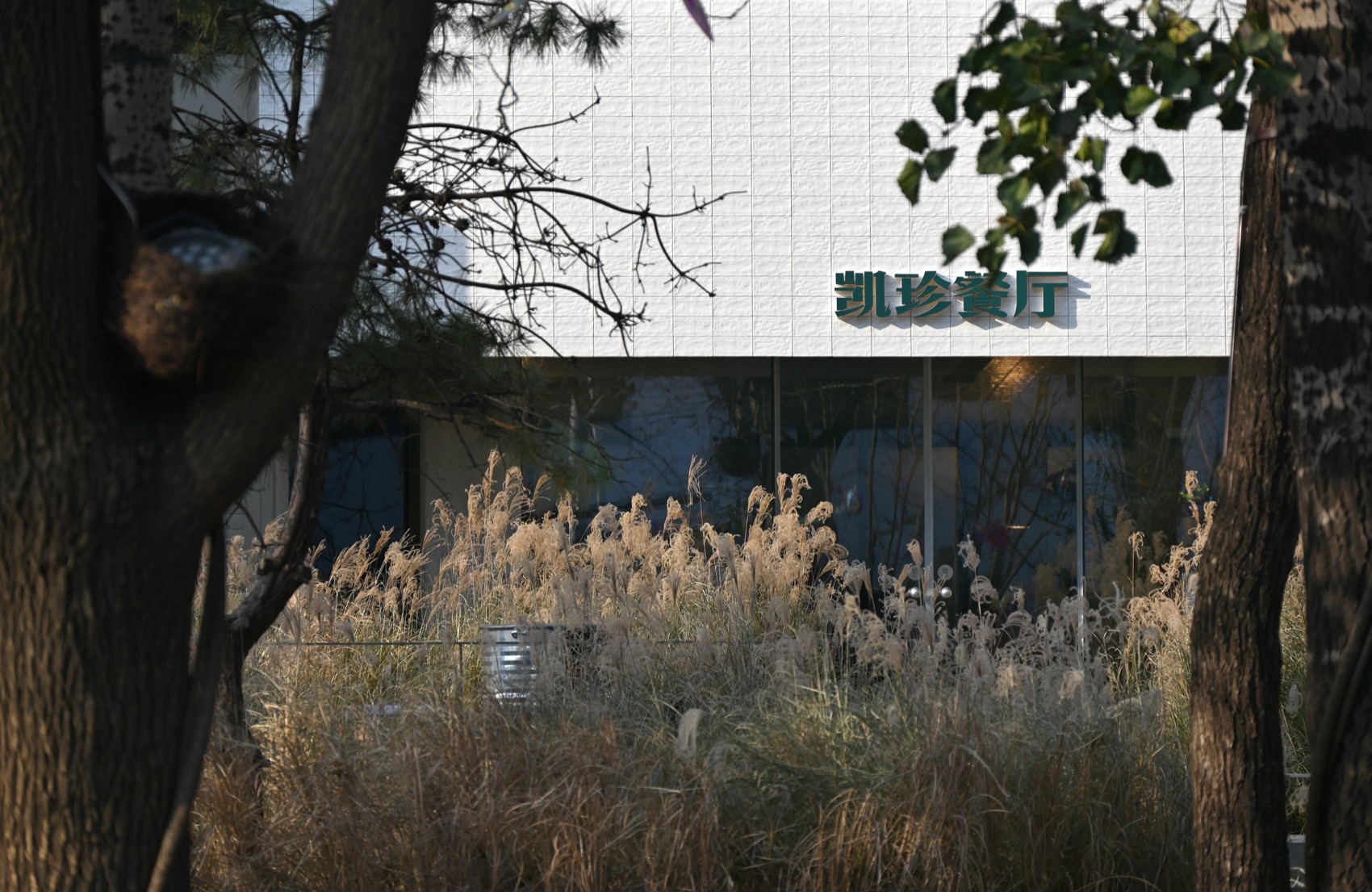 凯珍餐厅丨中国北京丨钟贺-64