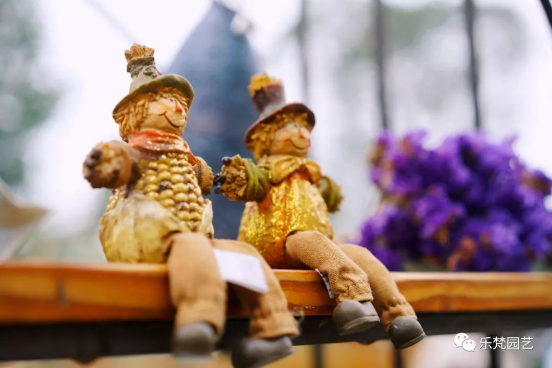 乐梵园艺打造成都花木博览会快闪花园,惊艳全场-83