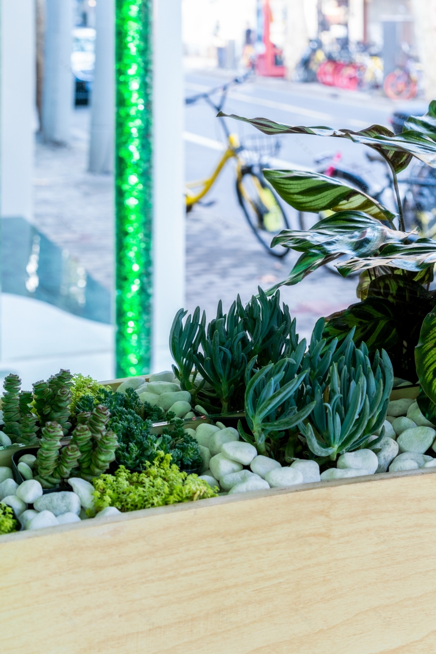 米斯泰亚丨中国上海-22