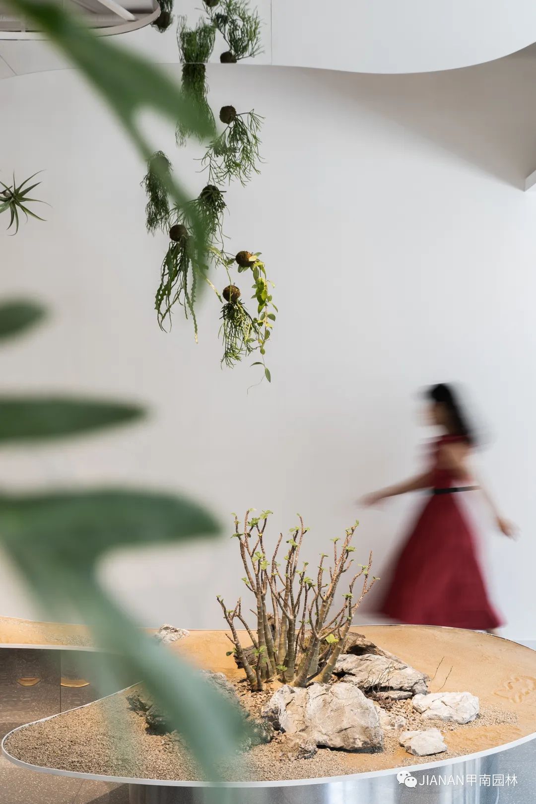 阿那亚“与自然共生”跨界合作设计丨甲南园林-20