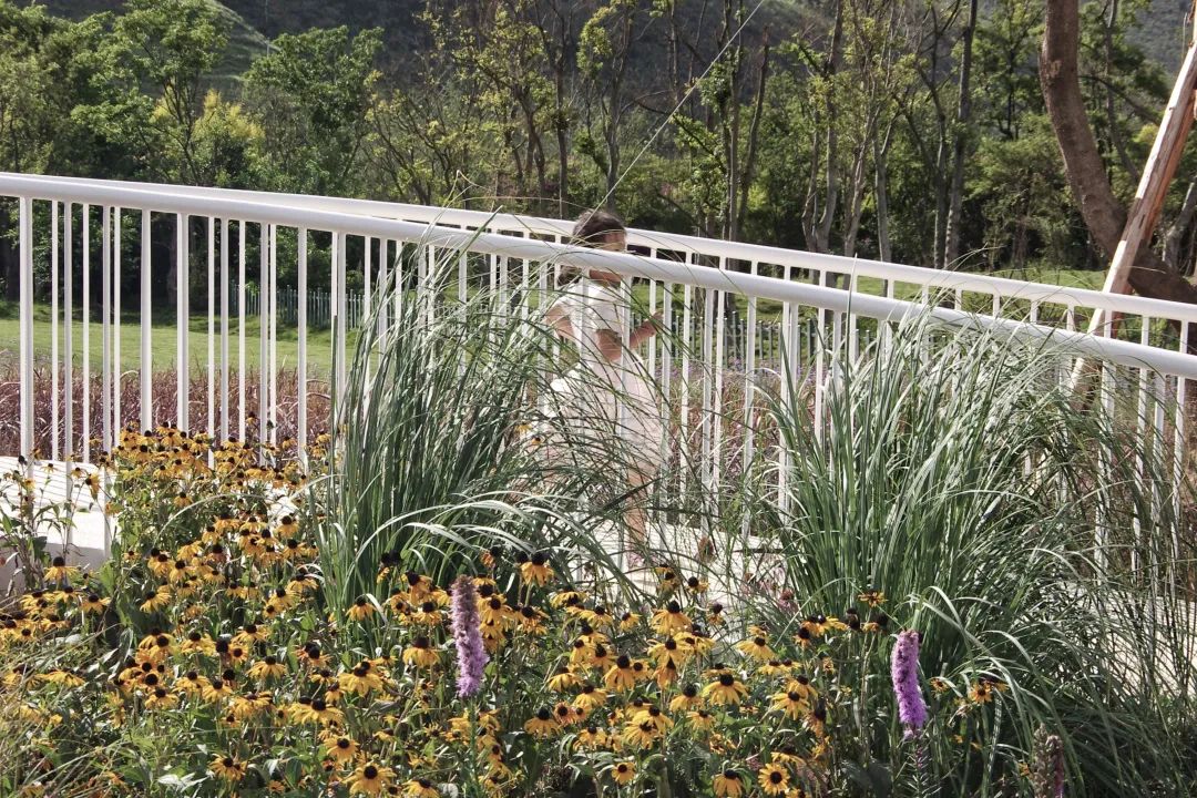 抚仙湖星空小镇 | 生态修复的人与自然和谐共生典范-17