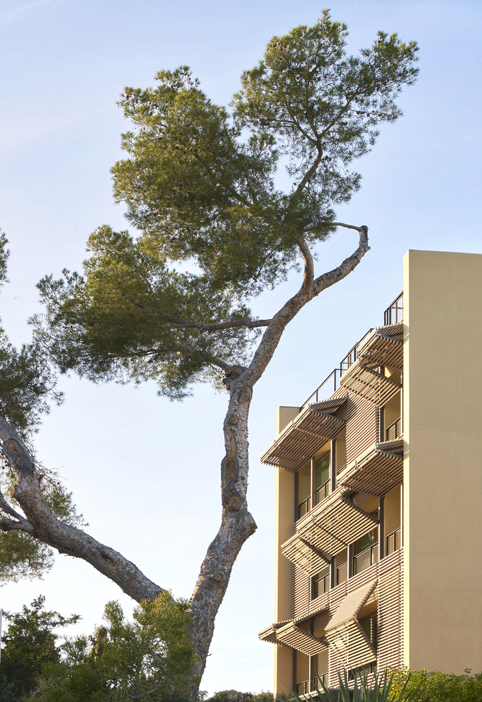 Paral·lel 公寓大楼丨西班牙巴塞罗那丨OHLAB-83