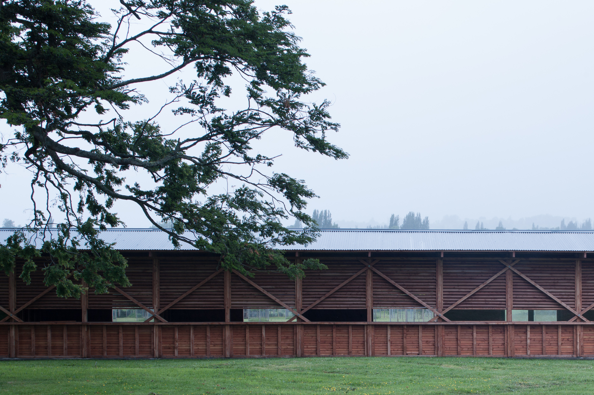 阿维亚里和稳定公园埃尔恩坎托丨智利丨DRAA-20