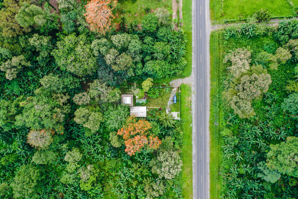 热带森林旁的钢木住宅 · Casas,Cahuita,Costa Rica-21