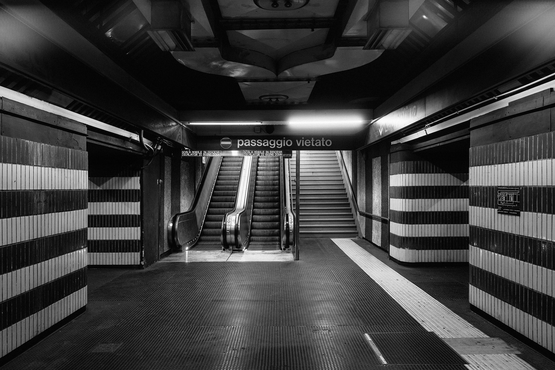 未命名丨Alexander Rentsch-85