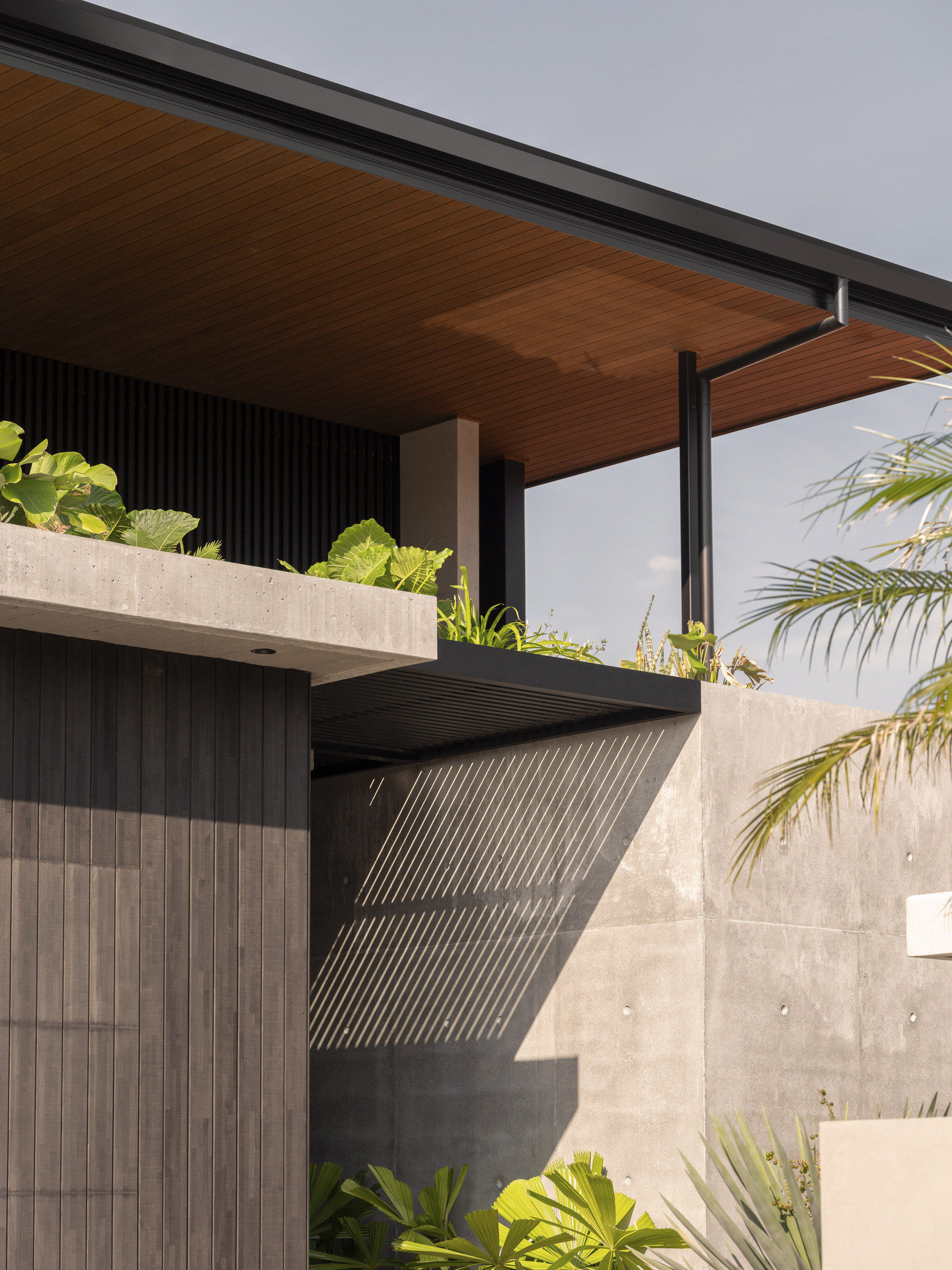 韦士柏之家丨澳大利亚丨Habitat Studio Architects-18