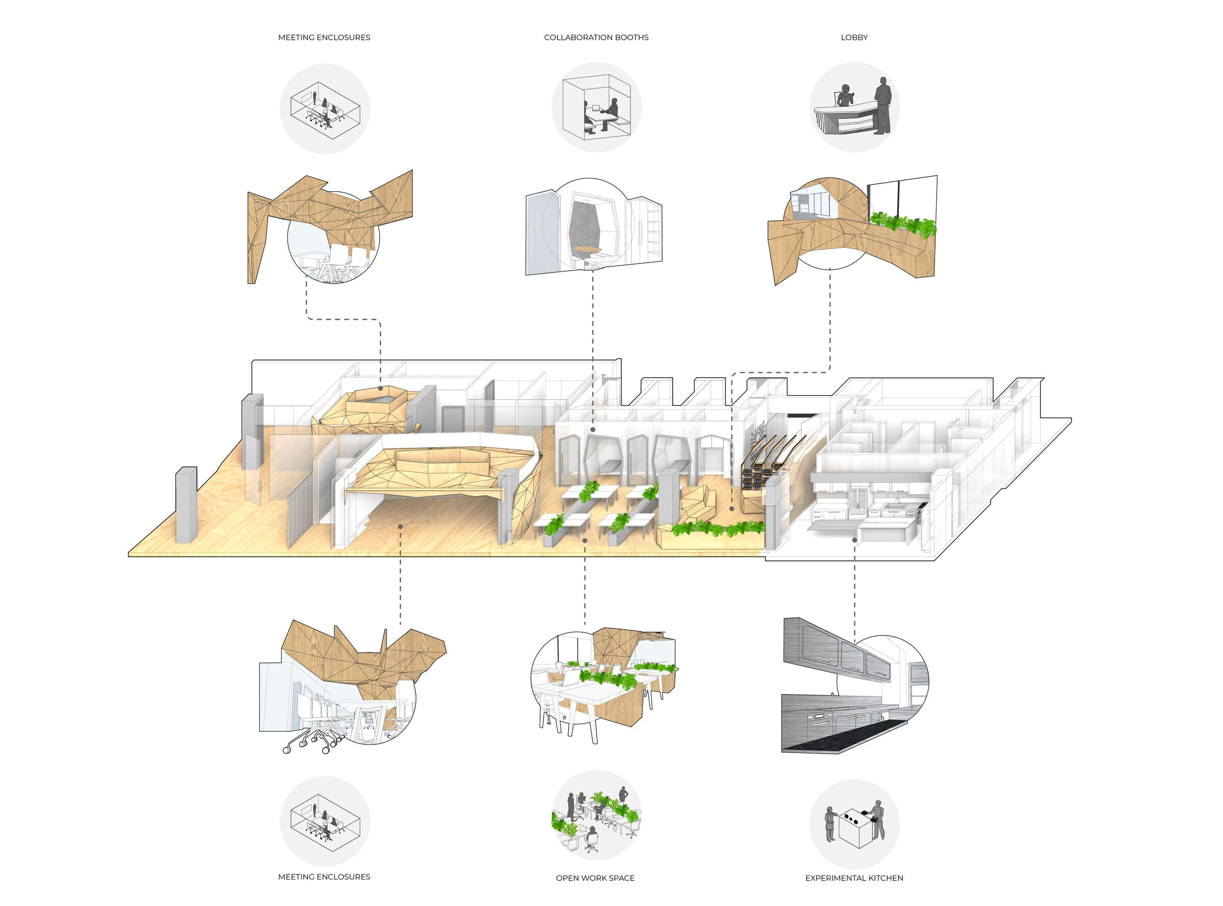 Terrafertil 办公空间设计丨厄瓜多尔丨Leppanen + Anker architects-15