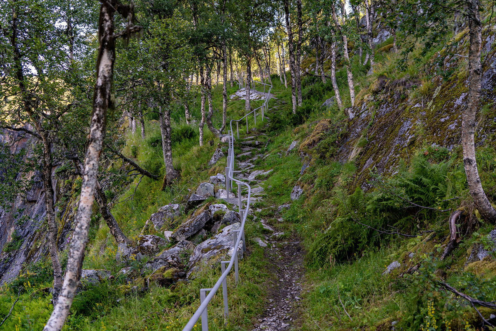 Vøringsfossen步行桥，挪威 / Carl-Viggo Hølmebakk-41