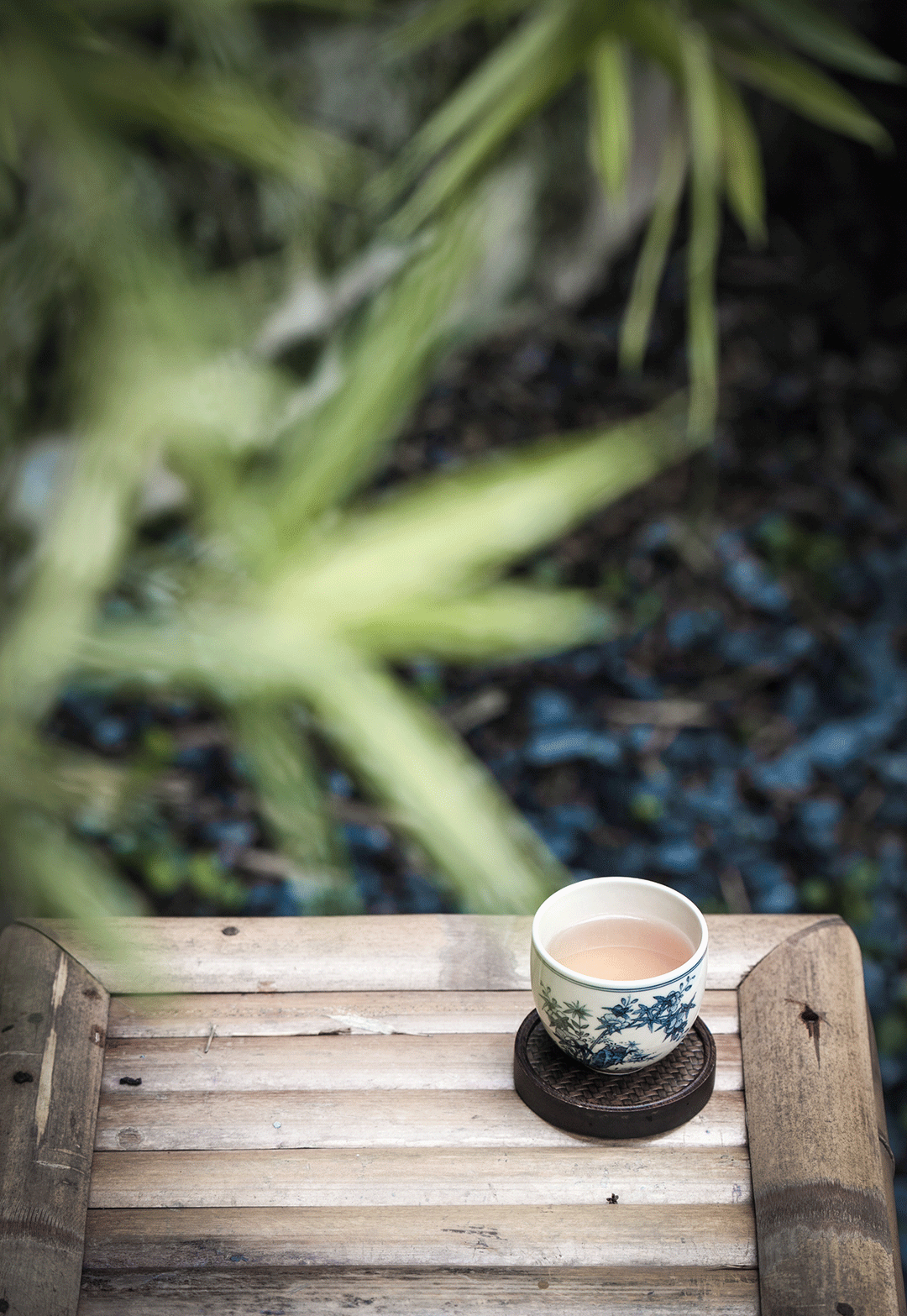 有时茶想丨中国广州丨广州市美林文化传播有限公司-4