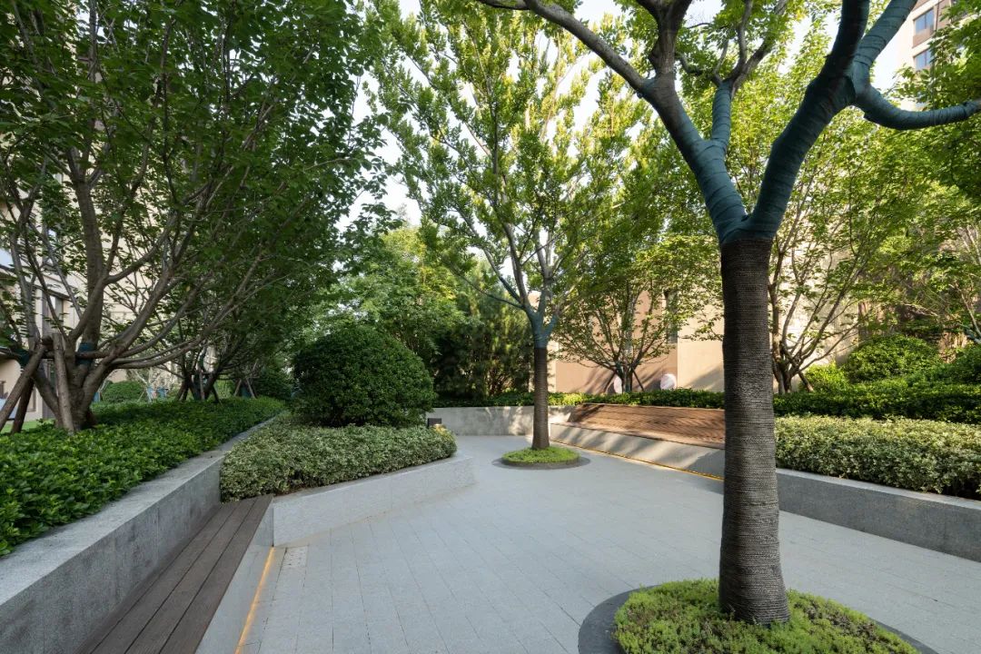 威海金猴龙湖·春江天境住宅景观丨中国威海-12