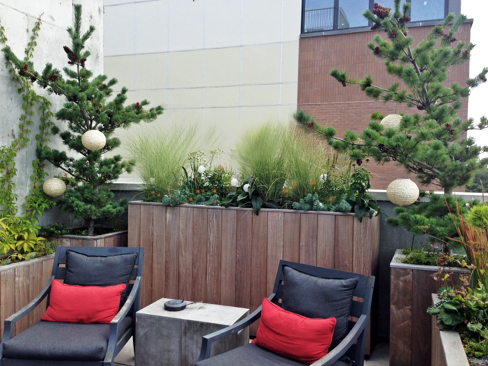 太平洋街排屋丨Alive Structures-7