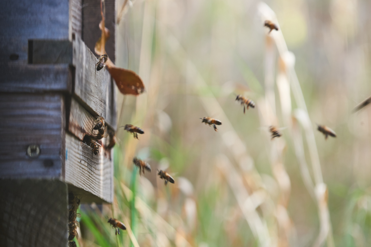 丨英国布里斯托尔-114