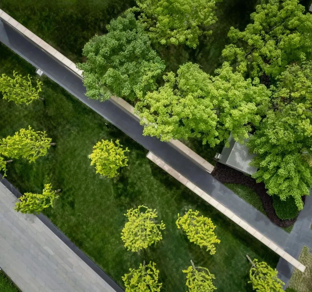 西安曲江·雁栖玫瑰园住宅景观丨中国西安-10