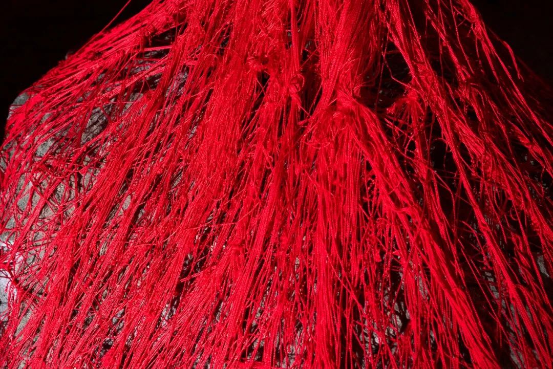 《风合睦晨｜复活》丨加拿大温哥华-23