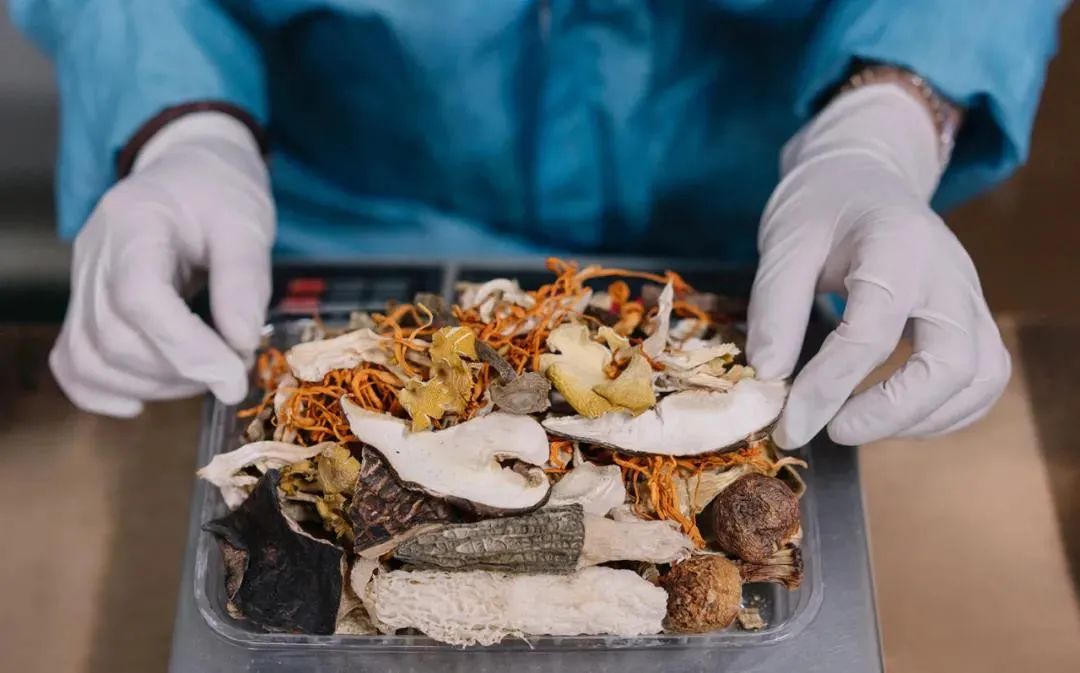 九种菌菇炖出冬日暖心汤丨中国云南-36