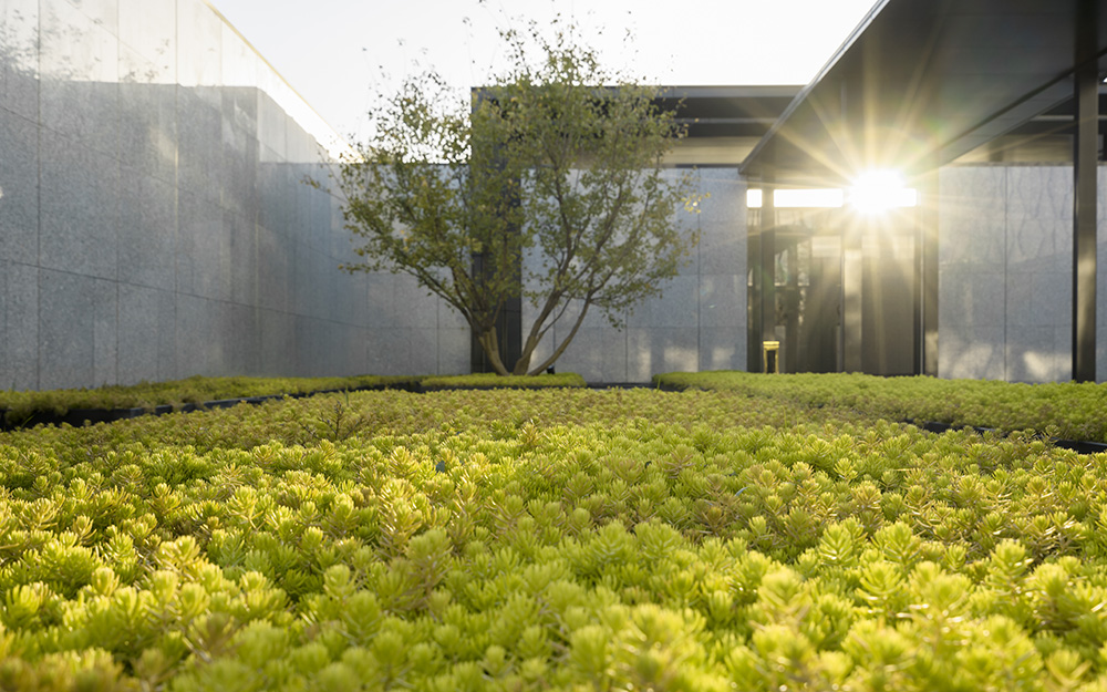 天津正荣府丨中国天津丨景观L&A设计集团成都分公司V项目团队等-47