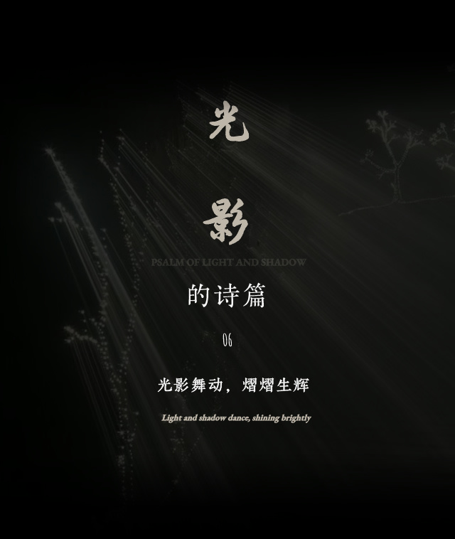 越秀·悦映湖山丨中国重庆丨菲洛米斯 PHILOMIS-42