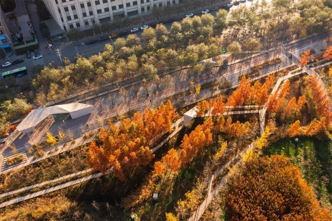 英国友人冒雨打卡海绵城市，意景设计师陪同揭秘海绵城市的“中国答案”-9