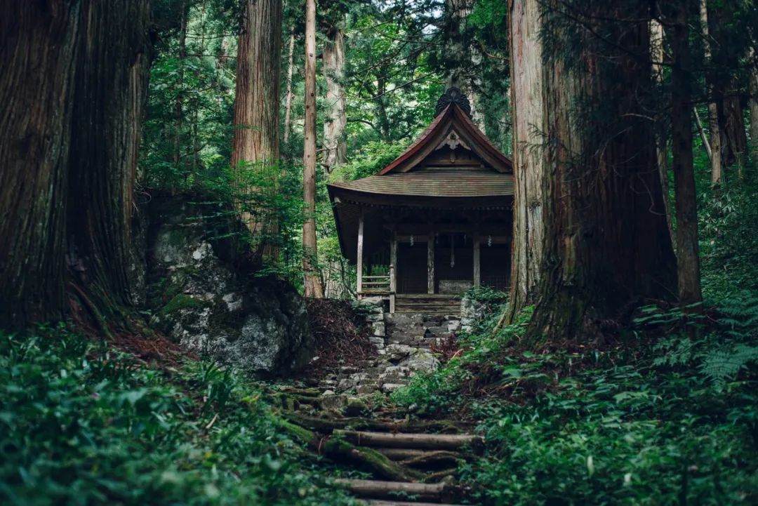 Setouchi Cominca Stay · 传统与现代的日本民宿丨Katsumi yamashita,Shiro miura-6