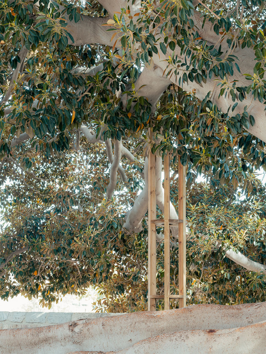 SAFE装置丨meii estudio-8